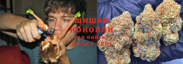 стаф Бронницы