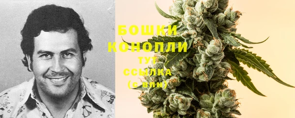 мет Заводоуковск
