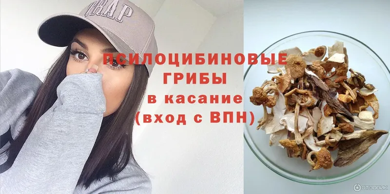 Галлюциногенные грибы Psilocybine cubensis  mega как войти  Десногорск  закладки 