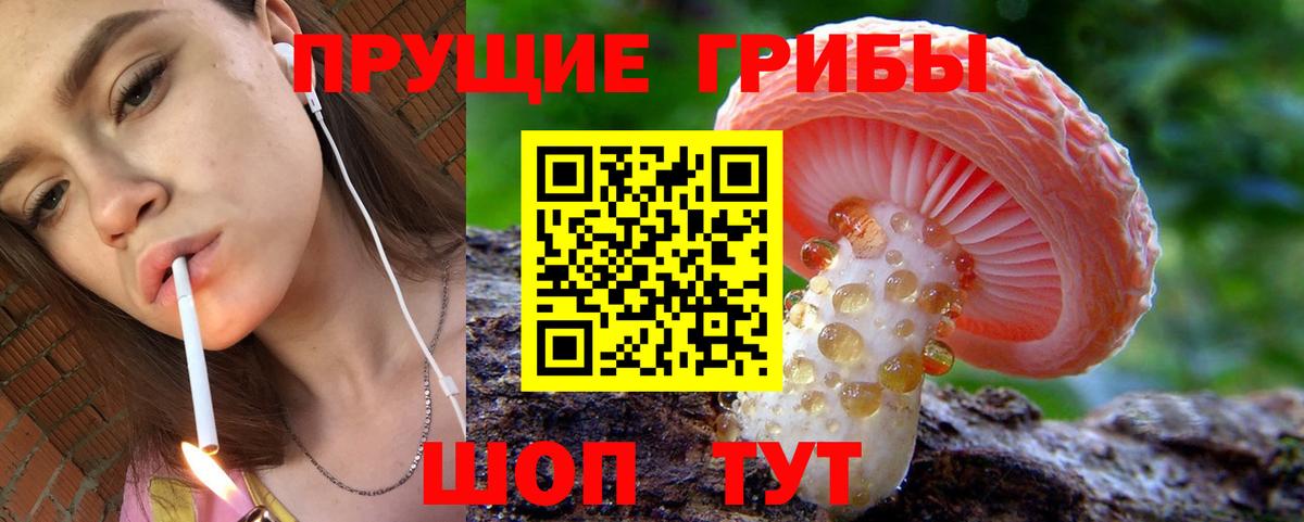 сколько стоит  Галлюциногенные грибы Magic Shrooms  Вход с VPN  Десногорск  Галлюциногенные грибы Psilocybe 